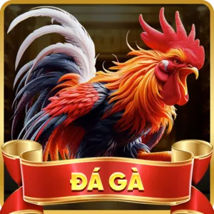 Cá cược thể thao đỉnh cao tại 88kim cổng game chính thức